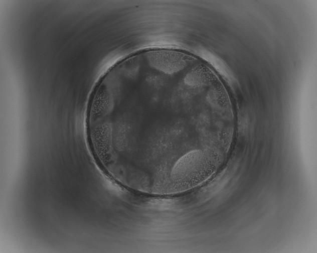 X0000111581237200907231229