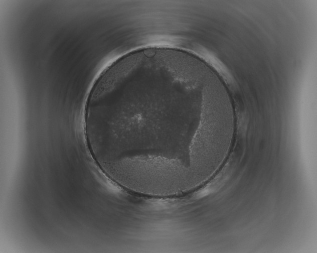 X0000111581240200907231229