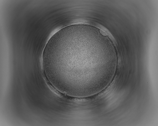 X0000111581242200907231229