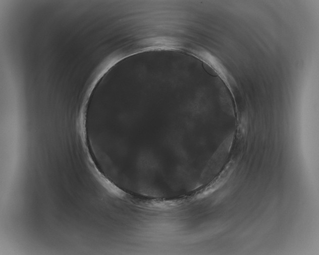 X0000111581243200907231229