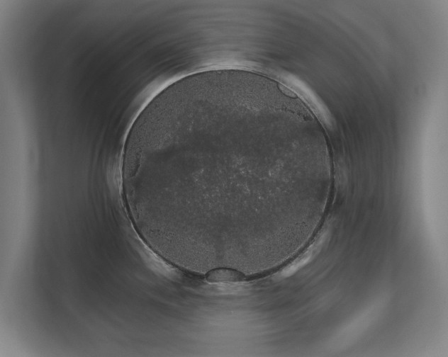 X0000111581244200907231229