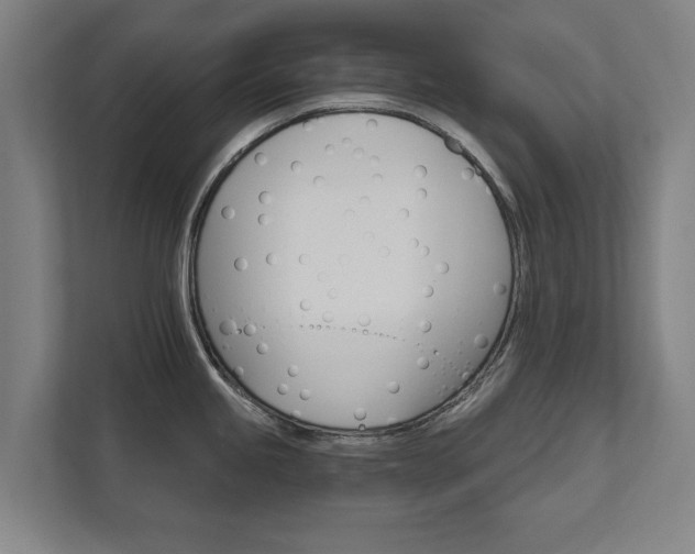 X0000111581245200907231229