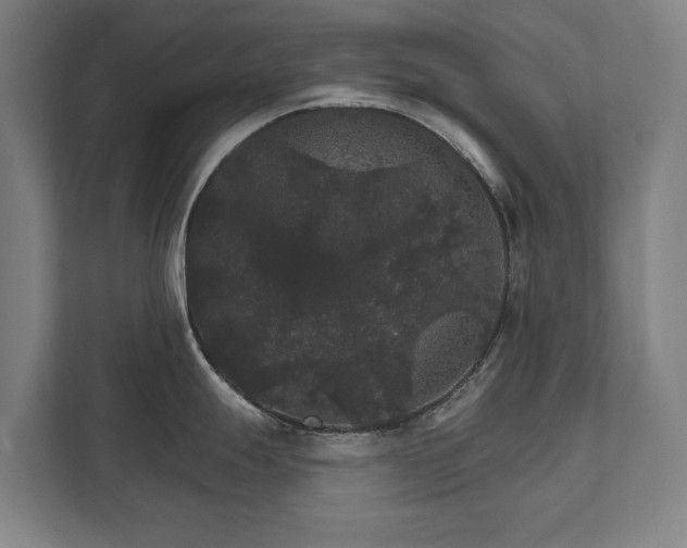 X0000111581247200907231229
