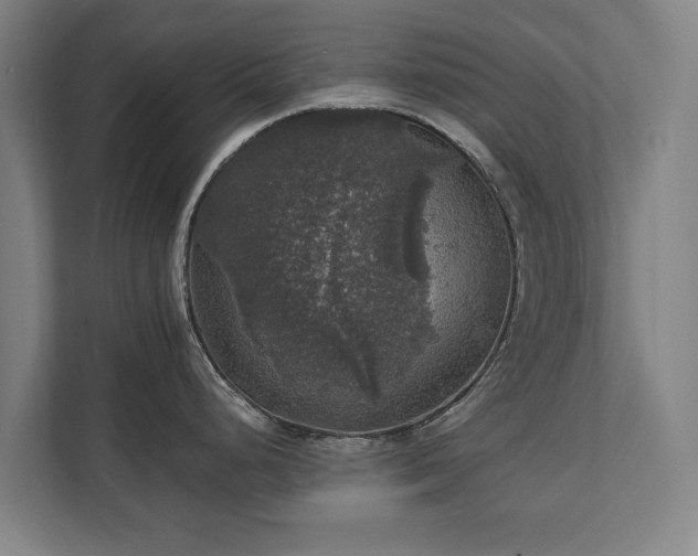 X0000111581248200907231229