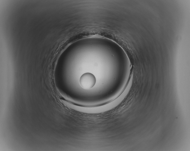 X0000111581249200907231228