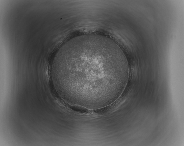 X0000111581250200907231228