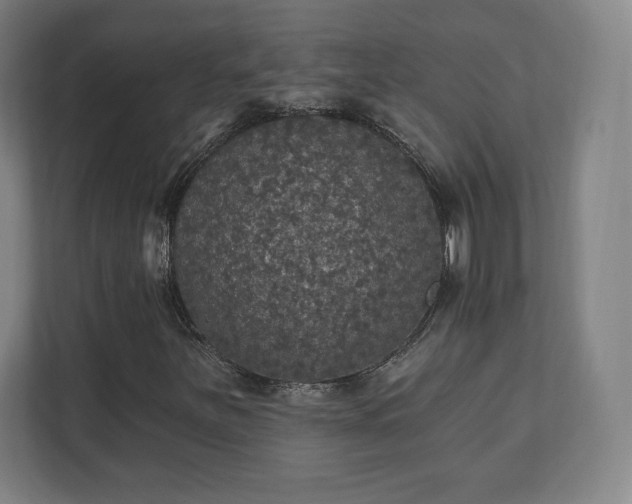 X0000111581251200907231228