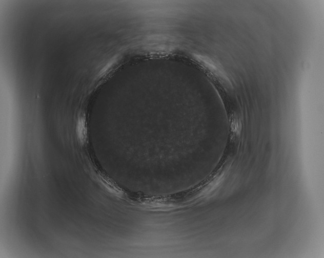 X0000111581252200907231228