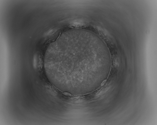 X0000111581253200907231228