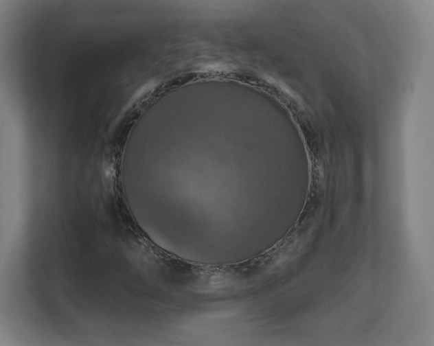 X0000111581254200907231228