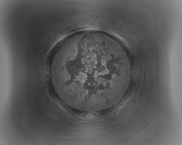 X0000111581255200907231228