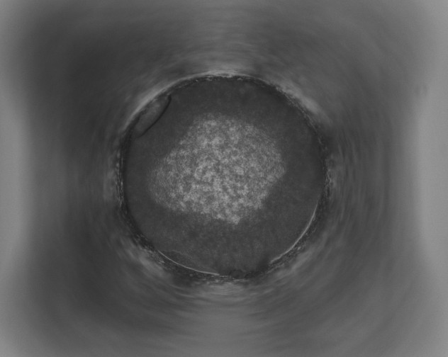 X0000111581256200907231228