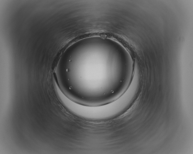 X0000111581257200907231228