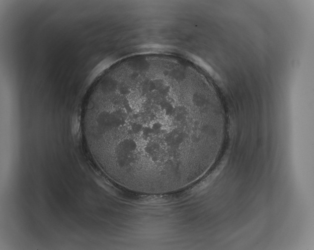 X0000111581259200907231228