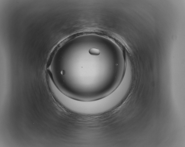 X0000111581260200907231228