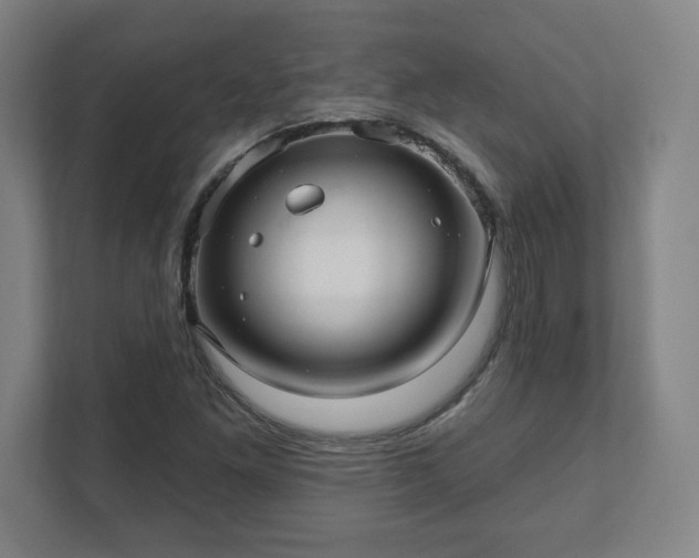 X0000111581261200907231228