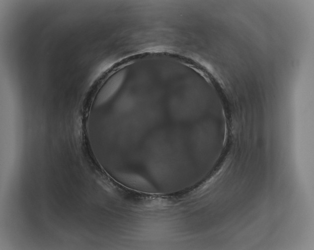 X0000111581263200907231228