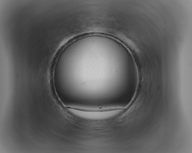 X0000111581264200907231228