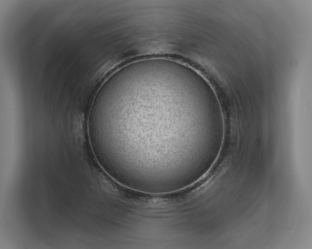X0000111581265200907231228