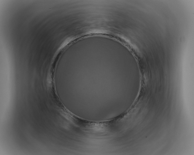 X0000111581266200907231228