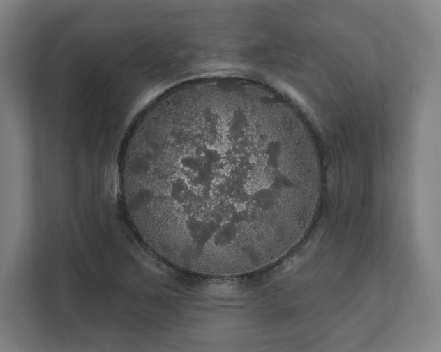 X0000111581267200907231228