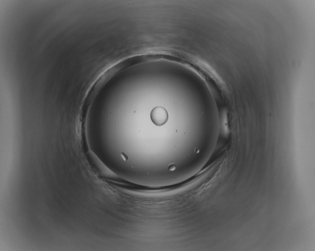 X0000111581268200907231228