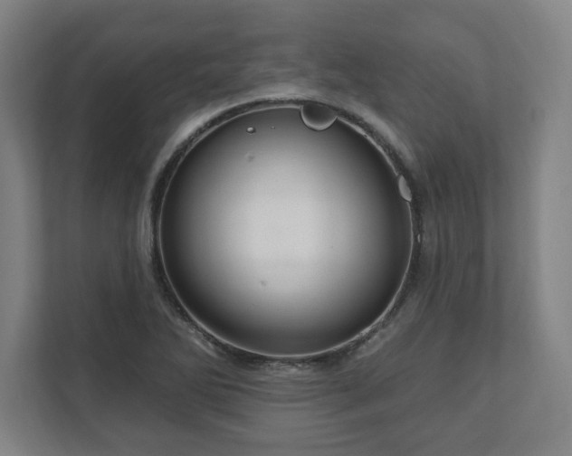 X0000111581270200907231228
