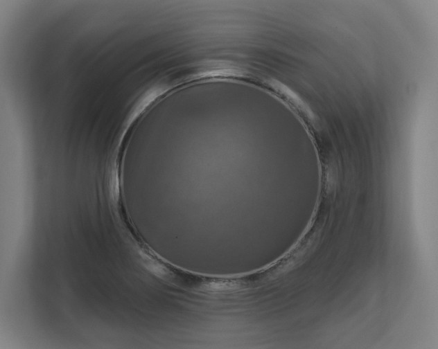 X0000111581274200907231228