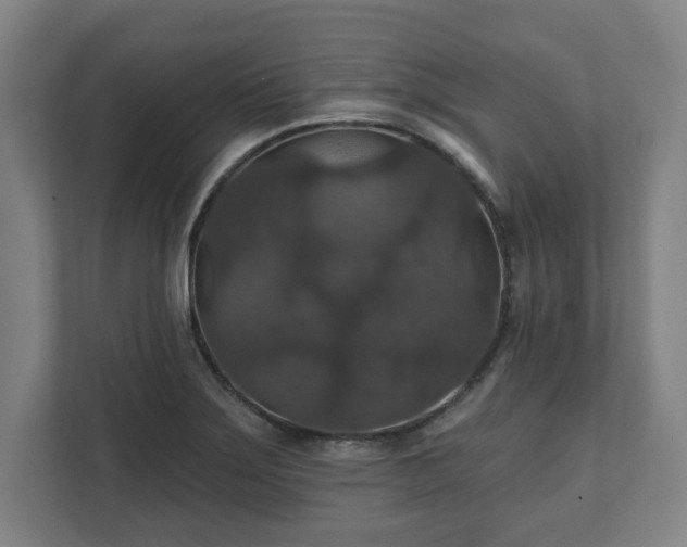 X0000111581275200907231228