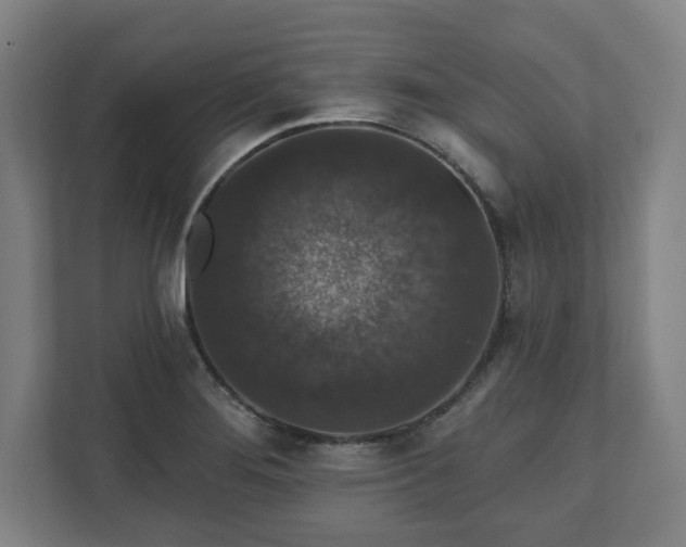 X0000111581276200907231228