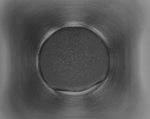 X0000111581277200907231228