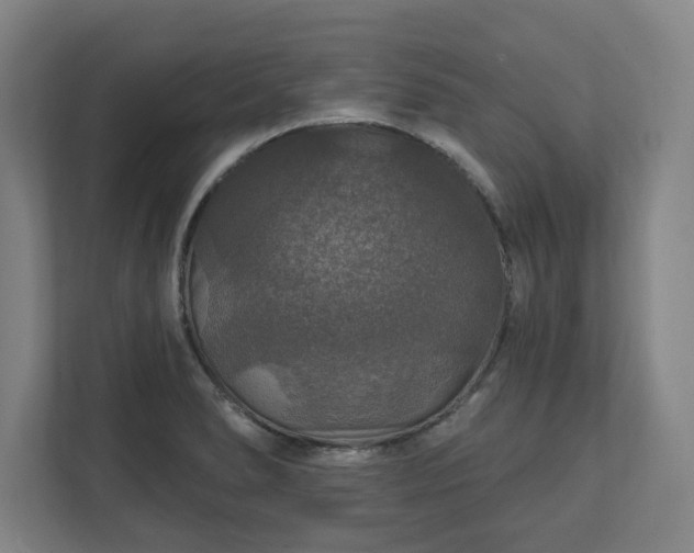 X0000111581278200907231228