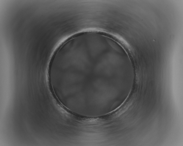 X0000111581279200907231228