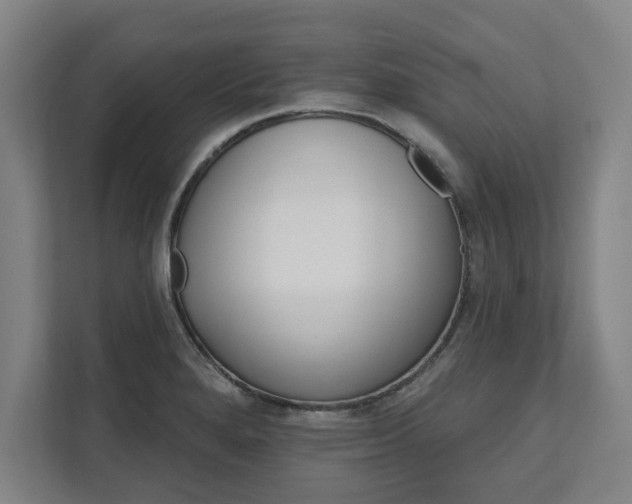 X0000111581280200907231228
