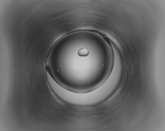 X0000111581281200907231228