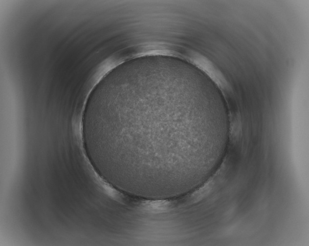 X0000111581282200907231228