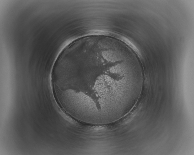 X0000111581283200907231228