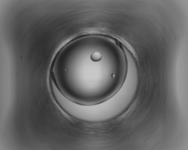 X0000111581285200907231228