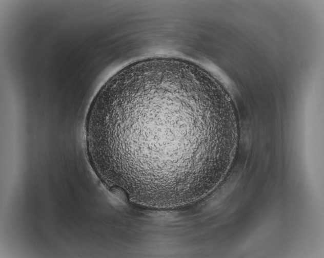 X0000111581287200907231228