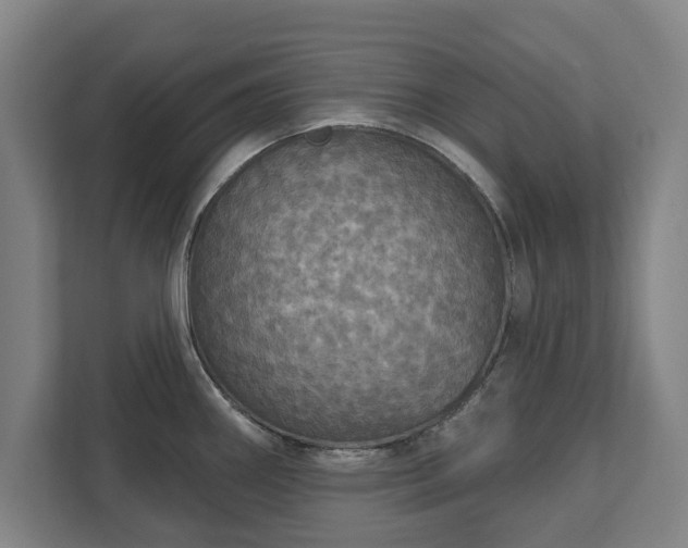 X0000111581290200907231228