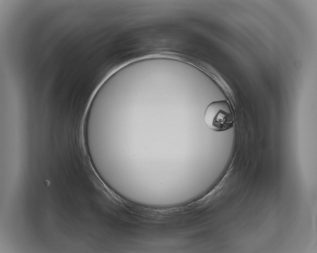 X0000111581292200907231228