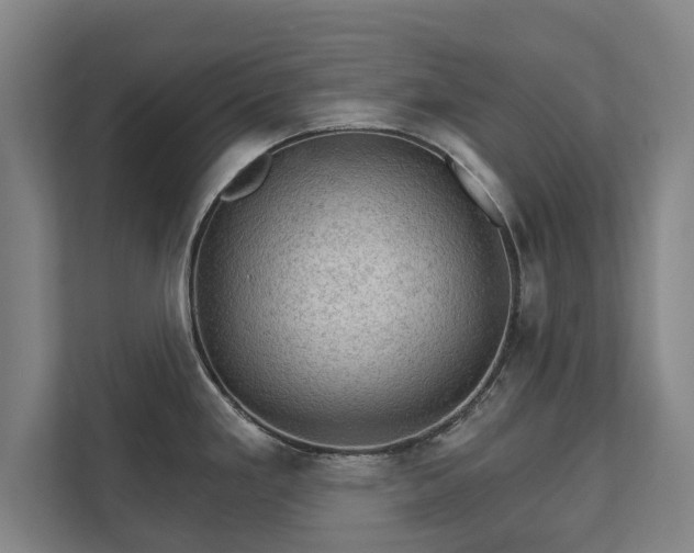 X0000111581293200907231228