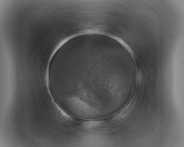 X0000111581294200907231228