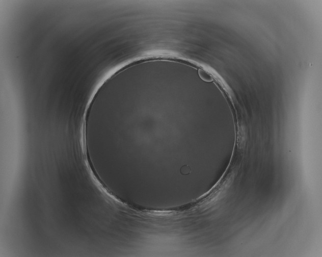 X0000111581295200907231228