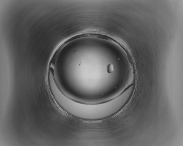 X0000111581296200907231228