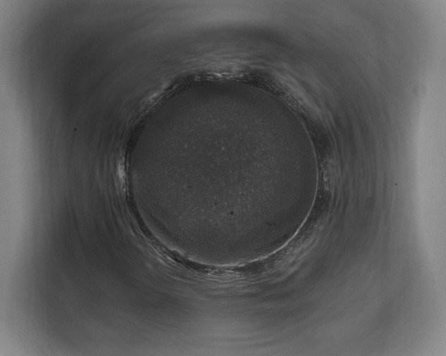 X0000111581298200907231227