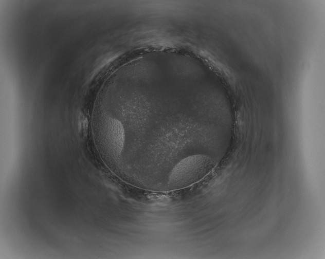 X0000111581302200907231227