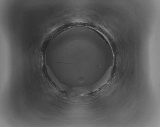 X0000111581303200907231227