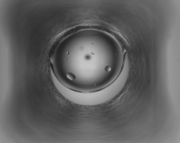 X0000111581304200907231227