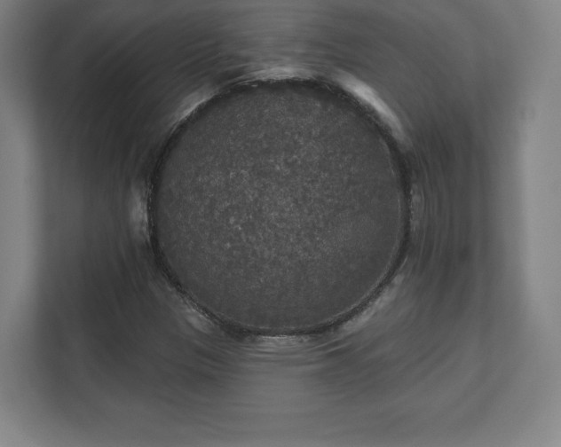 X0000111581305200907231227